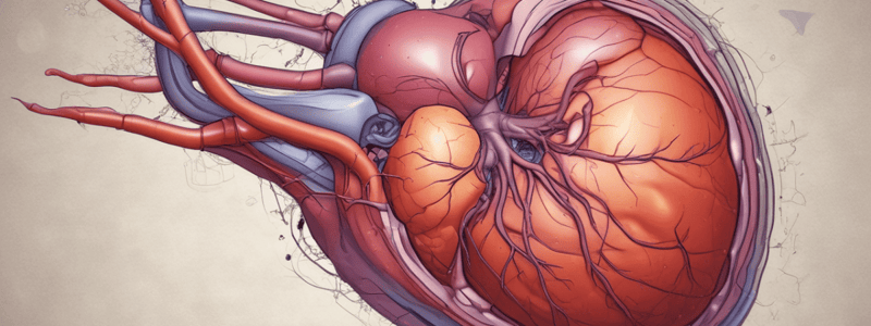 Liver Function and Hepatic Failure