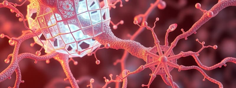 Cytoskeleton and ECM Quiz