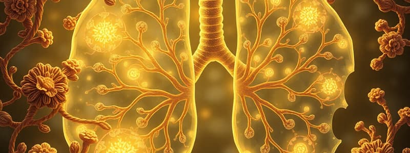 Alveoli and Gas Exchange Quiz