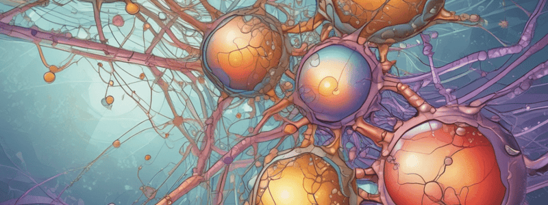 Introduction to Endocrine Physiology (Medium)