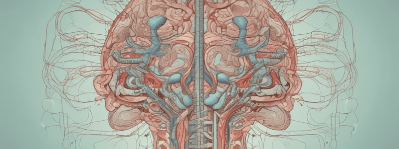 Autonomic Nervous System Basics