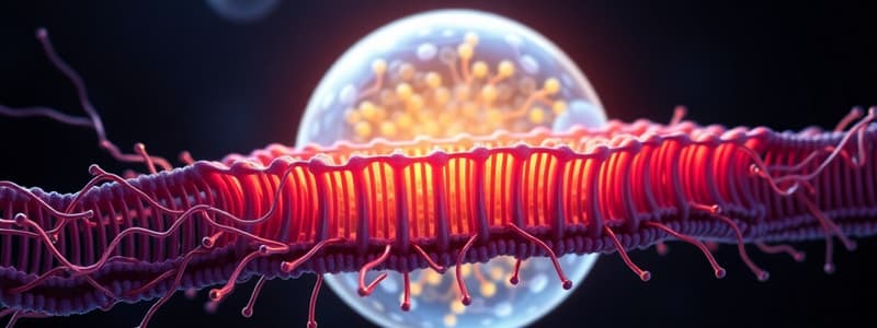 Selective Permeability of Plasma Membrane