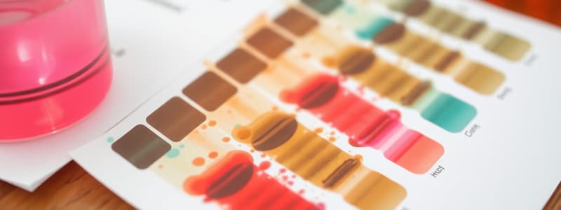 Paper Chromatography Techniques