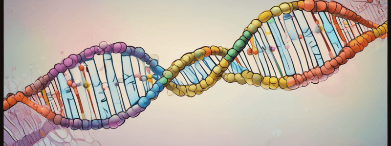 Molecular Biology: DNA Replication