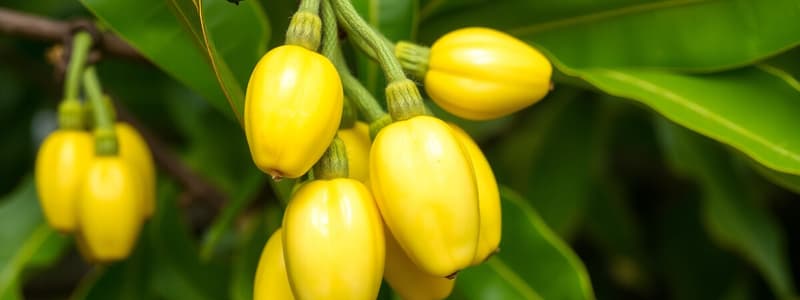 Microbial Pesticides and Vanilla Production