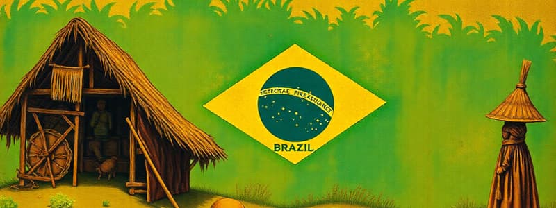 Brazil's Pre-Colonial and Colonial Periods