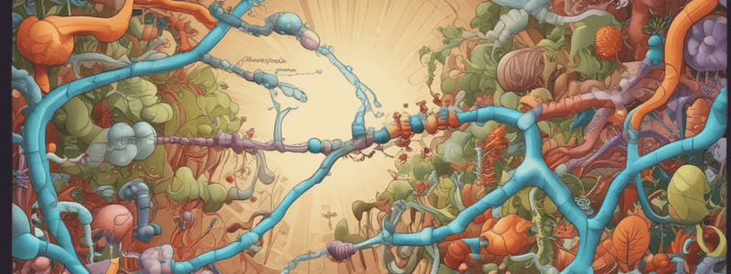 Regulation of Glycolysis Enzymes