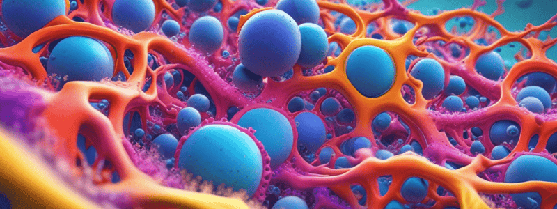 Cell Membrane Transport Mechanisms