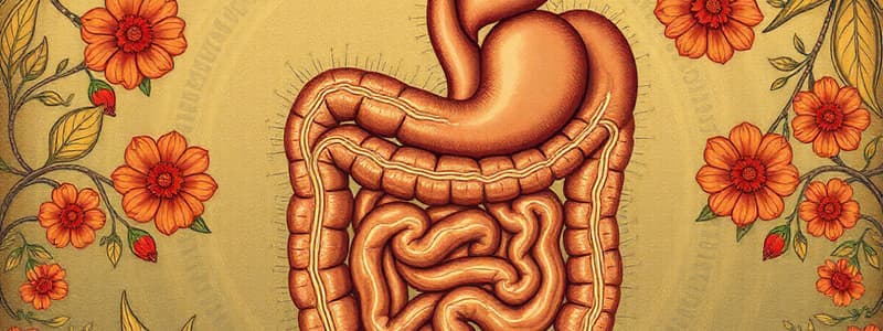 Biology Chapter 23: Body Systems Overview