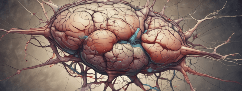 Hypothalamic Nuclei and Structures