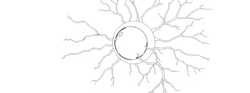 Modalità di Comunicazione Intercellulare (Fisiologia 54)