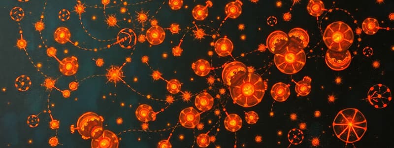 Cell Signaling and Signal Transduction Quiz