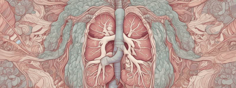 Histology of Respiratory System