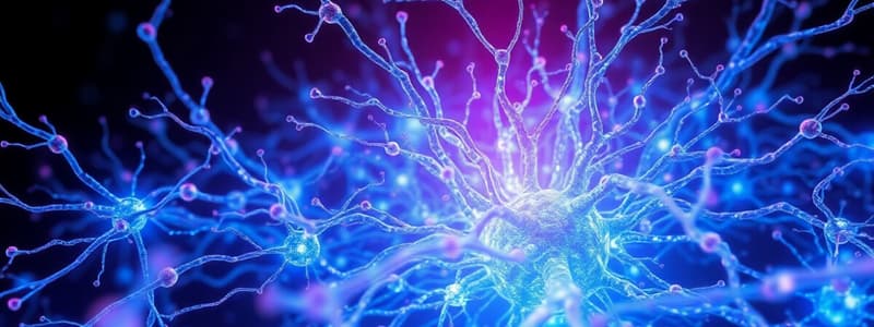 Neuroscience Quiz on Neurons and Glial Cells