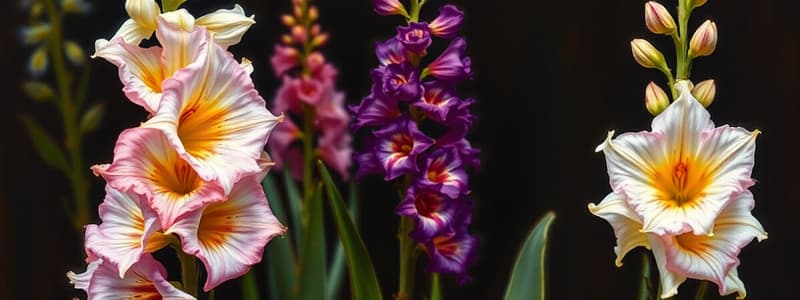 Scientific Cultivation of Gladiolus