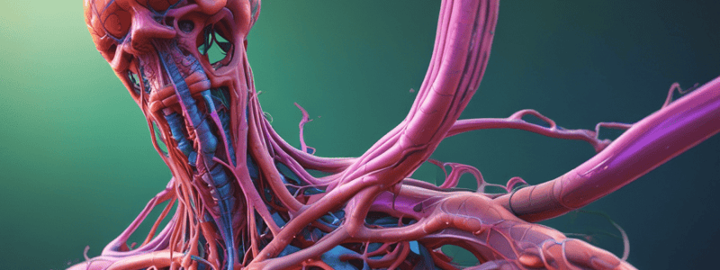 The Lymphatic and Immune System Chapter 21.1 Quiz