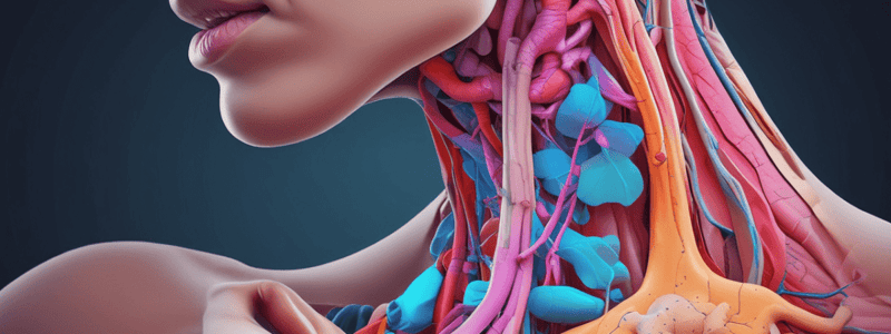 Thyroid Ultrasound Abnormalities