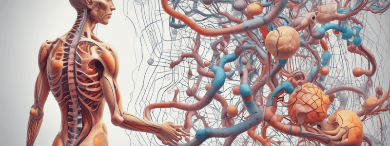 Physiological Role of Human Albumin