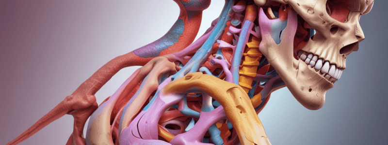 Musculoskeletal Tumor Classification Quiz