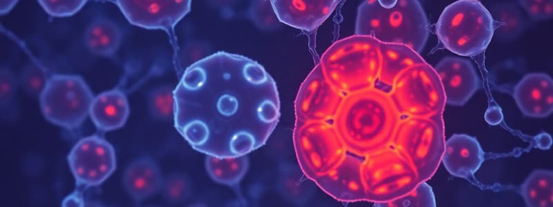 Biology Module Quiz: Eukaryotic vs Prokaryotic Cells