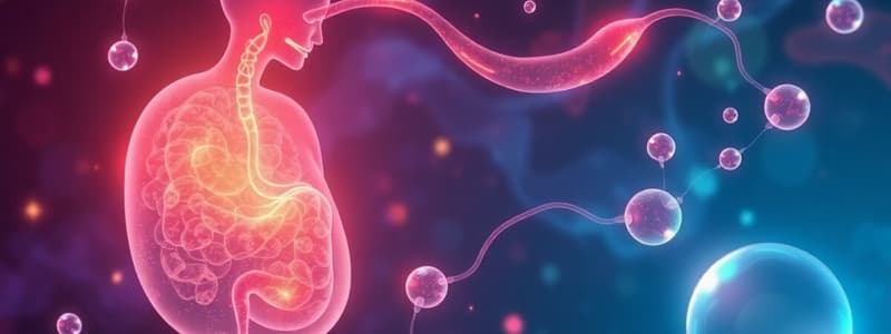 Lipid Digestion and Absorption