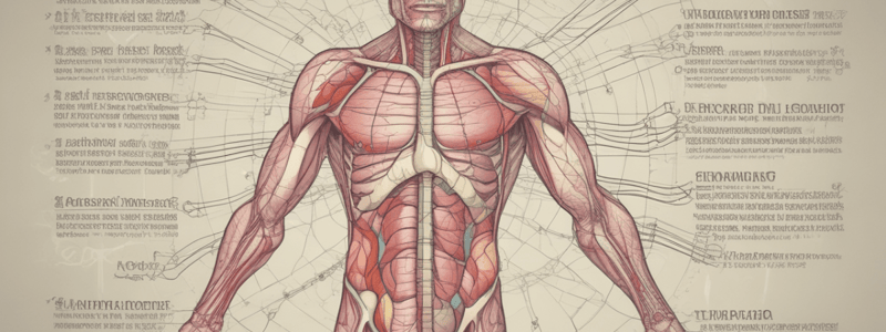 The Endocrine System and Pituitary Gland