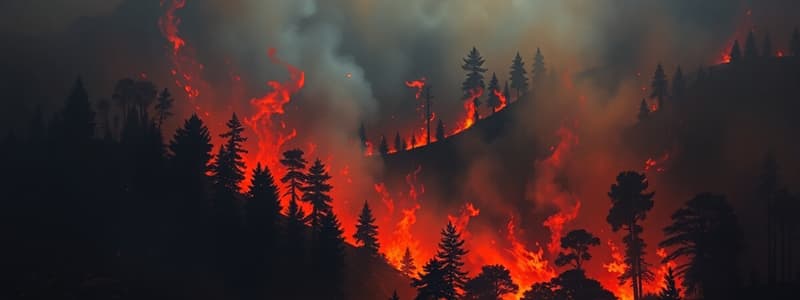 Incendios Forestales - Preguntas de Prueba