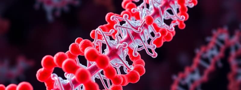 Ribosome Structure and Function