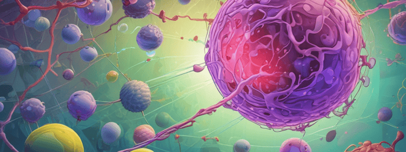 PANC-1 Cell Line: Total Protein Extraction