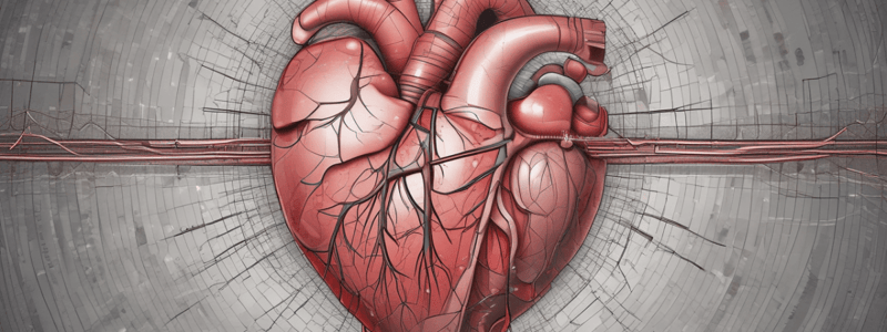 Cardiac Arrhythmia Anatomy