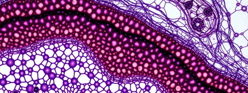 Histology I - Introduction and Tissue Preparation