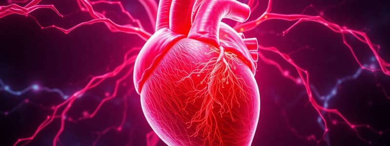 Cardiac Muscle Properties Quiz