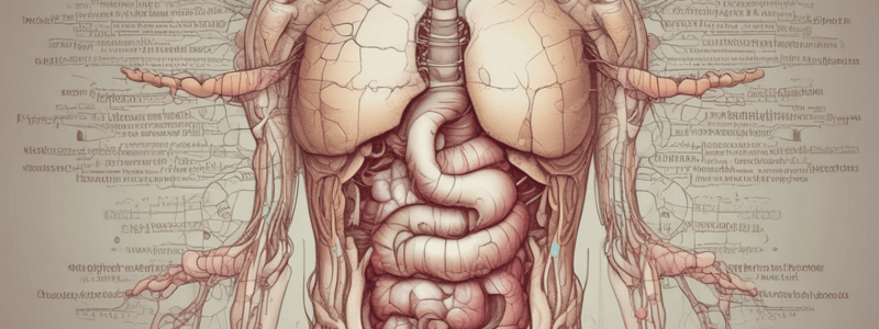 The Digestive System