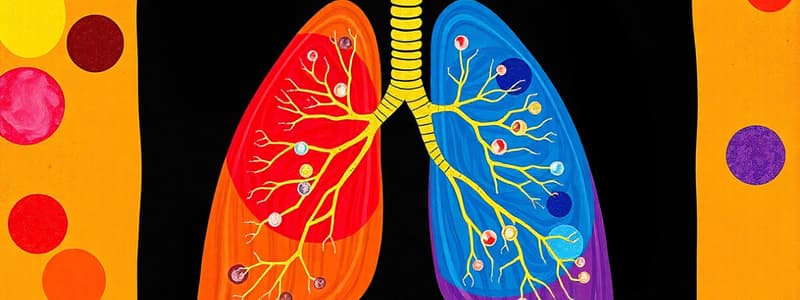 Microscopic Structure of the Lung II - Block 1.3