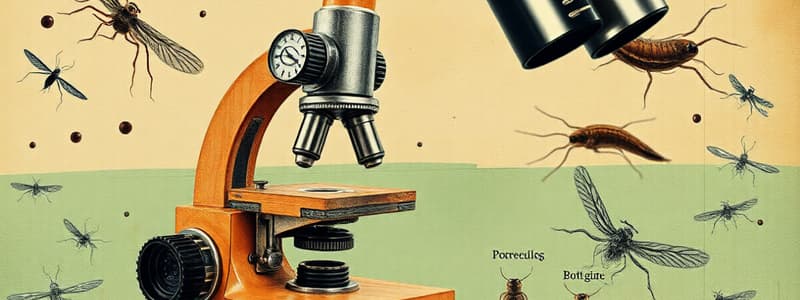 Microscope: Parts, Magnification, and Usage