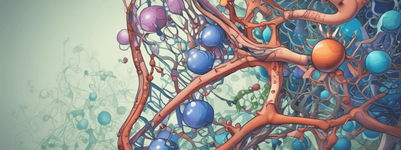 The Central Dogma: DNA to RNA to Protein