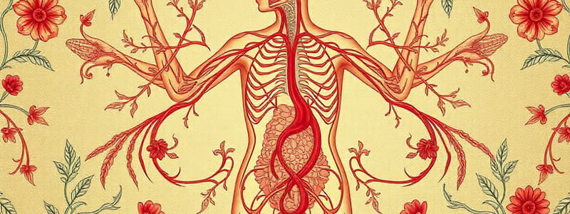 Biologi Kelas 10: Sistem Limfatik dan Darah