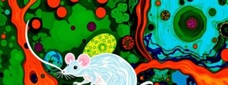 Cancer Pathogenesis and Mouse Models