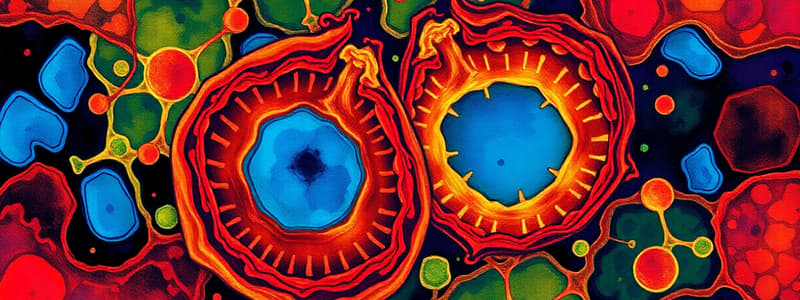 Cell Division and Tissues Overview