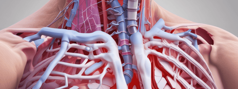 Rib Fracture Assessment and Management