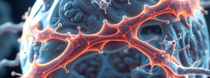 Cell Biology: Intermediate Filaments and Junctions