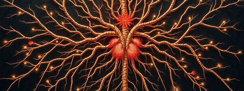 Nervous System