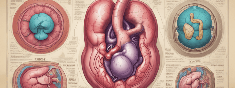 Sémiologie hématologie