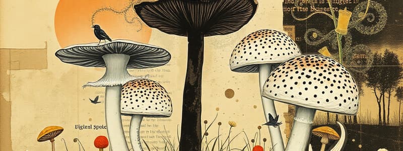 Introduction to Mycology: Fungi Characteristics