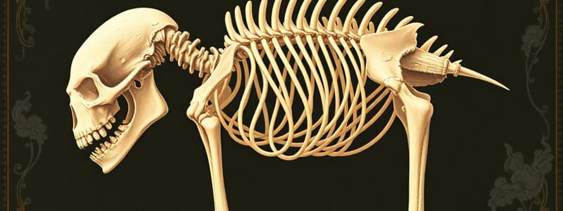 Bone Structure and Function Quiz