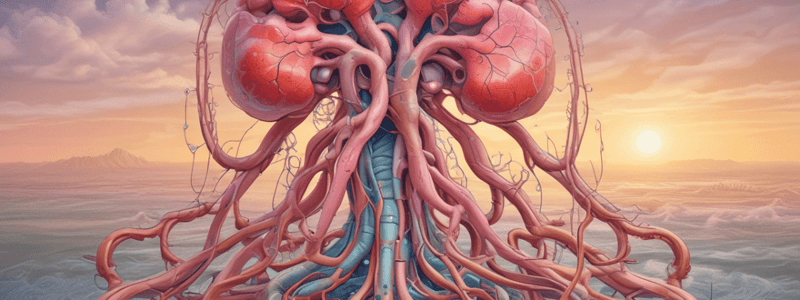 Urinary System and Kidney Functions