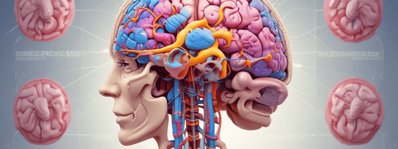 Cranial Nerves Overview