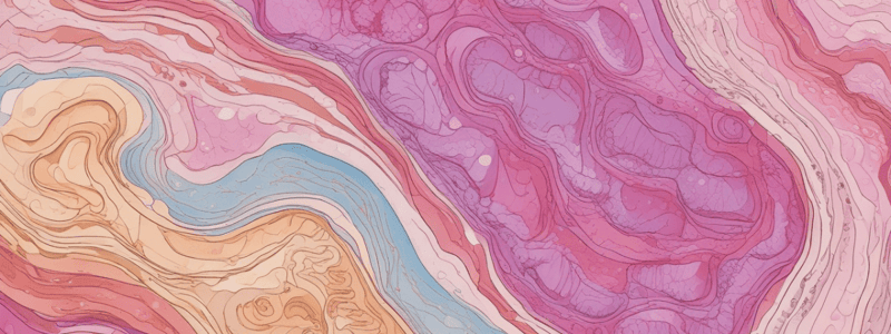 Histology and Embryology Chapter 2