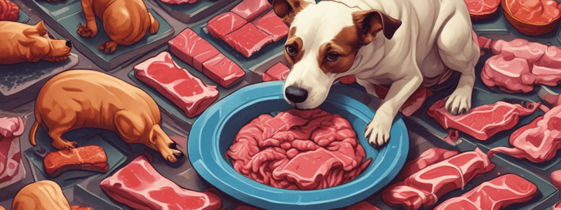 Short Story: The Two Dogs and the Piece of Meat