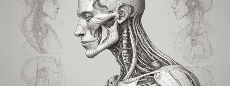 Anatomy of the Neck: Anterior Triangle Part 1